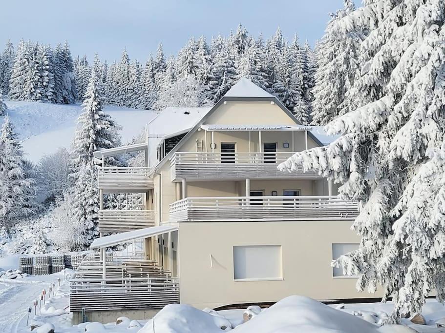 Appartement Chaleureux Au Pied Des Pistes Orbey Exterior foto